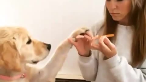 This dog did something unexpected to this woman