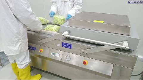 Vegetable Vacuum Packing Machine DCH-750
