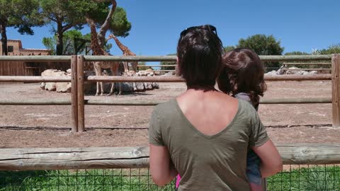 Mom and daughter looking at giraffes in zoo.