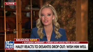 Trump Momentum Is Huge: Kayleigh McEnany