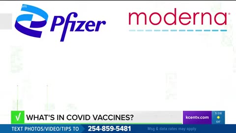 Verify _ what ingredients are in the COVID-19 Vaccine.