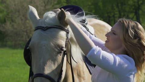 Horse mane. Woman's hand stroking the horse