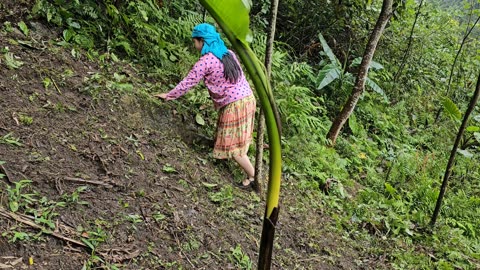 17 year old girl survives alone, makes her own bathroom and lives the jungle life - Forest Life