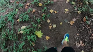 Oregon 2020 park running