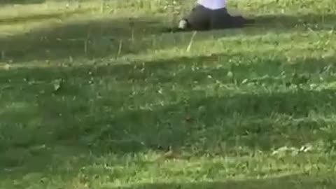 Girl in white shirt chasing chickens falls down