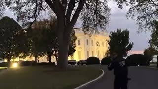 Pro-Palestinian protesters are now climbing up the on the White House