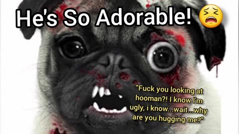 I Love Pugs!!!!!!