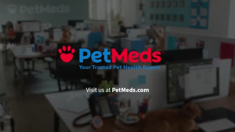 US Sports Partner Spotlight: 1-800-PetMeds