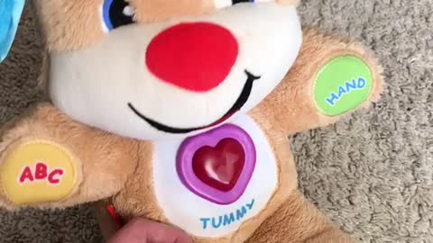 Rudest Children's Toy Teddy Bear