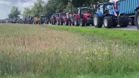 Dutch Farmers blockade highway, dump manure to protest energy policies (June 28, 2022)