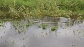 fishing in deep water in thailand