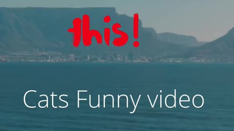 CATS Funny #short video