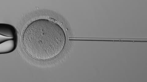 Han nacido los primeros bebés concebidos con un robot inyector de esperma.