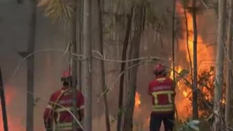 1 dead, 135 injured in fires in Portugal