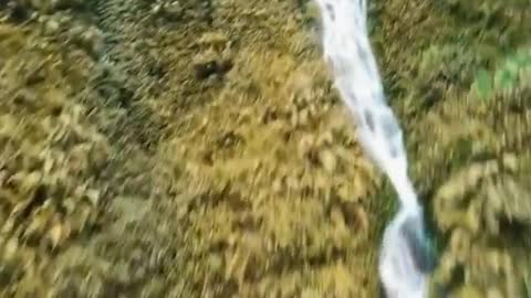 Eagle View Over Waterfall In Jungle