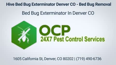 Hive Bed Bug Exterminator in Denver, CO