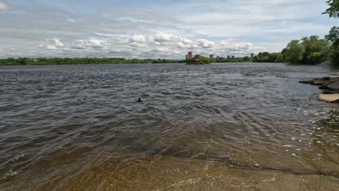 🌊 Remic Water Rapids & Greenbelt Trails In Ottawa 🐠