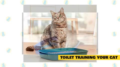 101 Basic Cat Training For Cat Lover