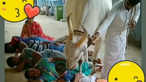 Gau mata