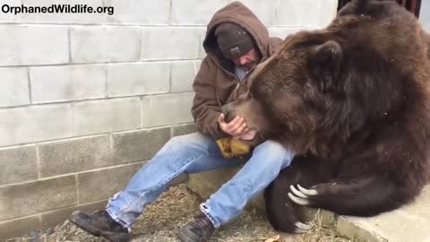 When your bear had a hard day and needs some extra love....