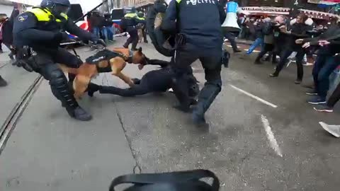 La Polizia ad Amsterdam attacca i manifestanti novax con i cani