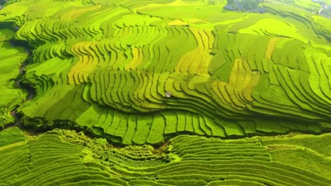 Mu Cang Chai's Natural Wonders: Exploring Vietnam's Breathtaking Landscapes