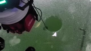 Cracking Ice Frightens Fisherman