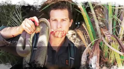 Bear Grylls Impossible Challenge- Men Vs Wild