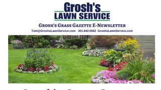 Lawn Mowing Service Hagerstown Maryland Grosh's Grass Gazette November 2023 Video E Newsletter