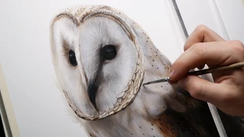 OIL PAINTING TIME LAPSE - BARN OWL | WILDLIFE PORTRAIT