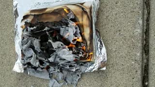 NSI book burned