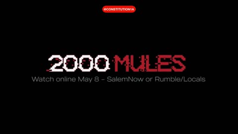 2000 Mules Coming to the Alan James Art Gallery