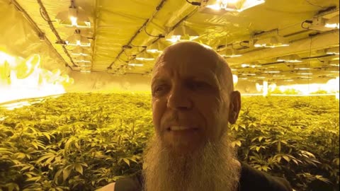 From Weed Farmer to Jesus Christ - Testimony of Mark Aaron with Michael Carter