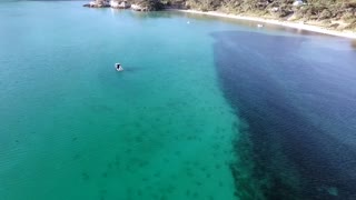 Hundreds of Sharks Spotted Moments After Snorkelling