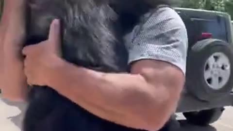 monkey reunion (emotional reunion between monkey and owner )