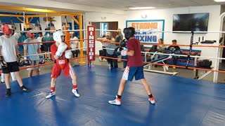 Joey Boxing Tommy