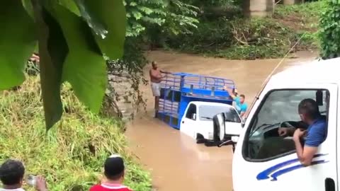 Cow Trapped In Overturned Van In Fast-Flowing River