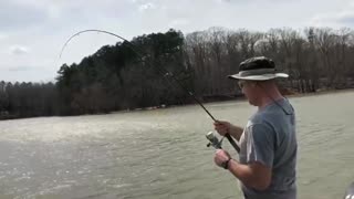 50+ Pound Flathead while Crappie Fishing