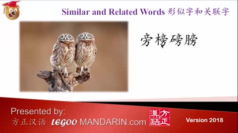 Premier Video: Origin of Chinese Characters HSK 7- 2409B 膀 páng bladder