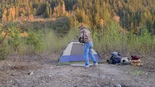 Cruising in the Mustang and Camping in a new spot. | Hashanthropy