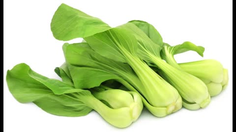 How to Properly Store Bok Choy for Extended Freshness