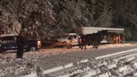 Horses Help Pull Trailer from Snowy Rut