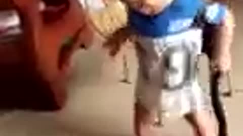 Niño juega con serpiente !increible