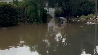 Dave Oneegs Lismore NSW Street update floods 31 March 2022