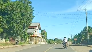 Wobbly Rider Can't Drive Straight on the Road