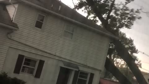 Tree Falls on a House