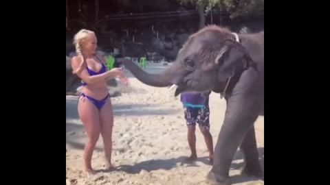 Girl play Elephant