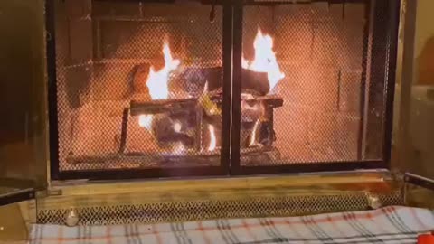 Chilling in front of Fireplace