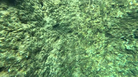 Underwater GoPro#3