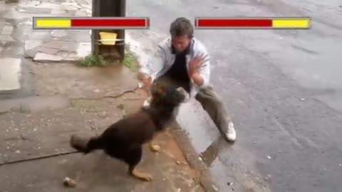 Cachorro vs homem bêbado som do mortal Kombat
